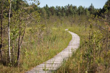 Varnikai cognitive track