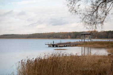 Dusetos, Litvanya. Kuru sazlıklar ve bulutlu bir gökyüzünün altındaki sonbahar ormanlarıyla çevrili uçsuz bucaksız Sartai Gölü 'ne uzanan küçük, ahşap bir iskele..