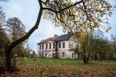 Büyük terk edilmiş bir malikanenin geniş bir görüntüsü. Eğri bir ağaç ve sonbahar boyunca ön planda düşen yapraklar..