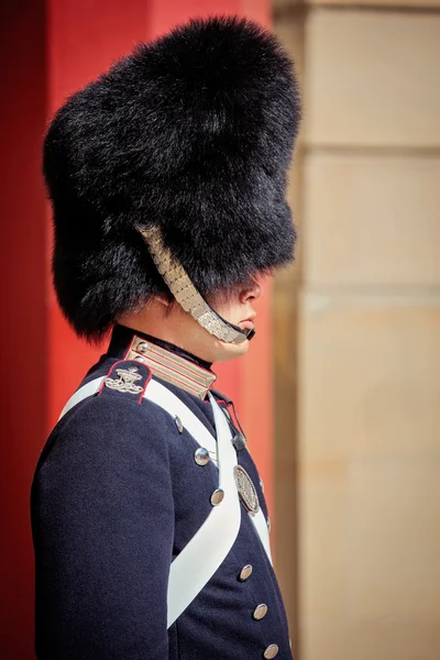 Guards of honour in Copenhagen — Stock Photo, Image