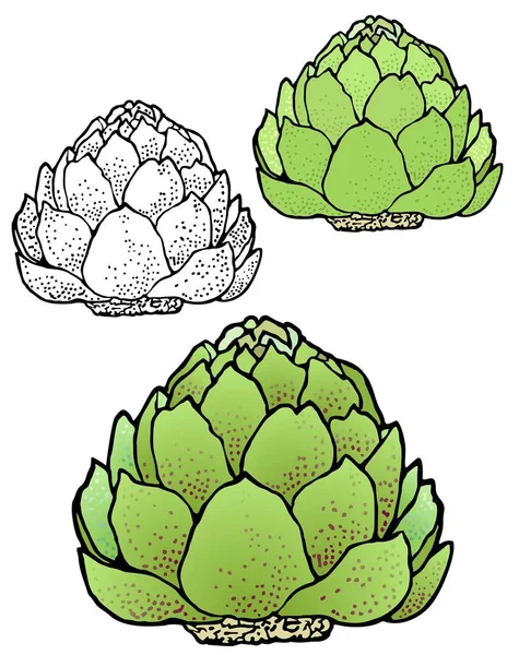 Illustration Kronärtskocka Med Variationer — Stock vektor