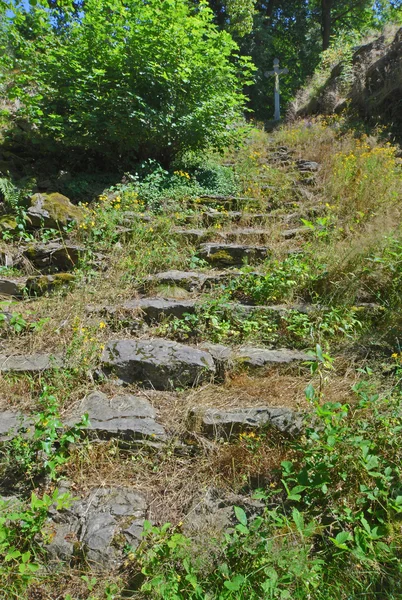 Old overgrown staircase — Stock Photo, Image