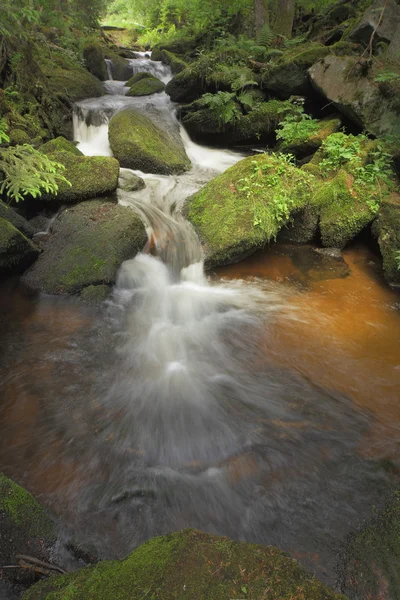 Steinbekk – stockfoto