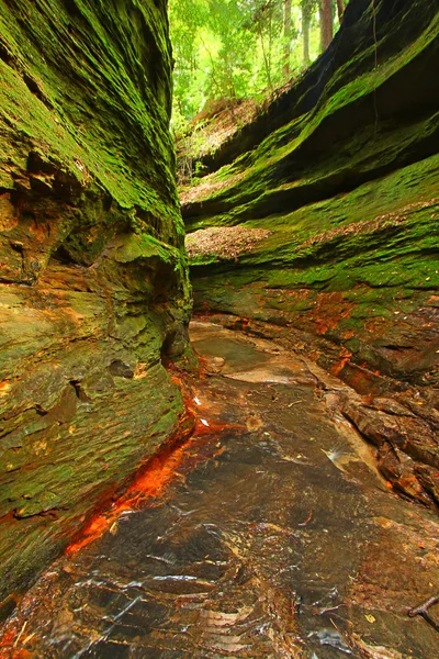 Truthahn run state park indiana — Stockfoto