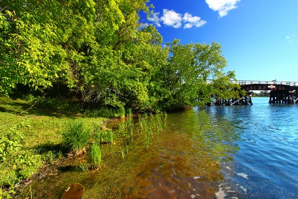 Sjön Minocqua Wisconsin landskap — Stockfoto