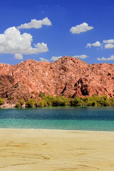 Strand des Wüstenreservoirs Nevada lizenzfreie Stockfotos