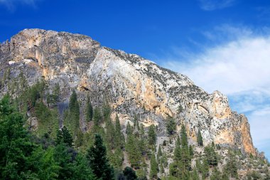 Mount Charleston peyzaj Nevada