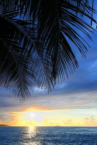 カリブ海の島・ プエルトリコ — ストック写真