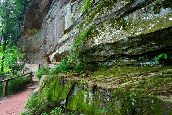 Turquia Run State Park Indiana — Fotografia de Stock