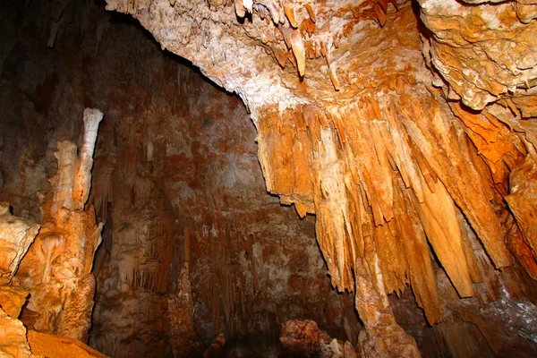 Paisaje de Cueva de Puerto Rico — Foto de Stock