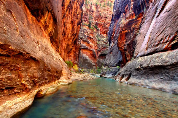 Zion nationalpark jungfräulicher fluss — Stockfoto