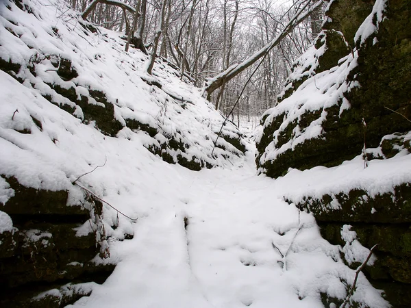 Gorge Illinois kar dolu — Stok fotoğraf