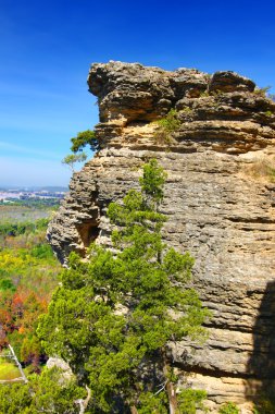 İlham noktası Shawnee Ulusal Ormanı