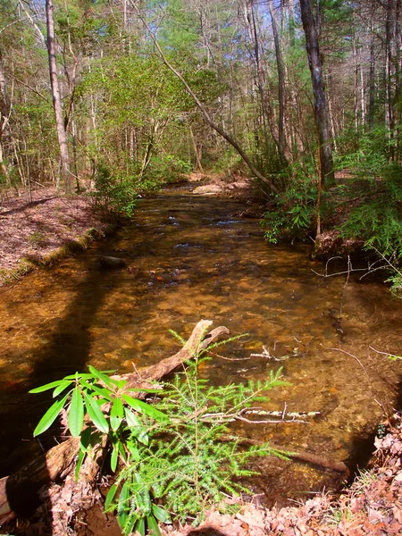 Appalachian Trail Stream Georgië — Stockfoto