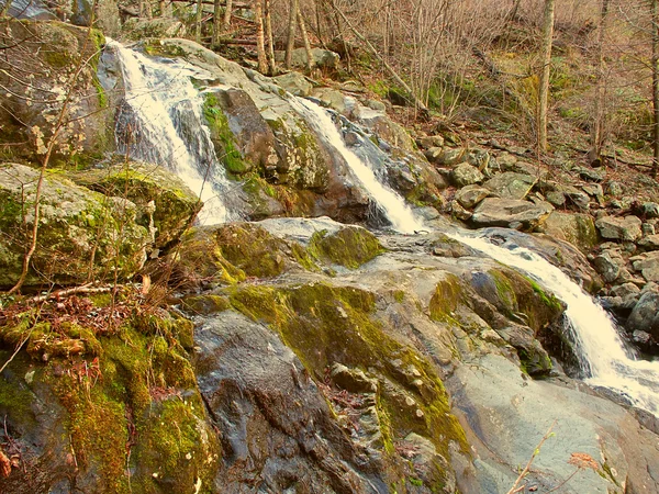 Dunkle Mulde fällt Shenandoah-Nationalpark Stockbild