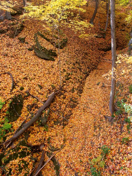 Herbstliche Schluchtenlandschaft illinois — Stockfoto