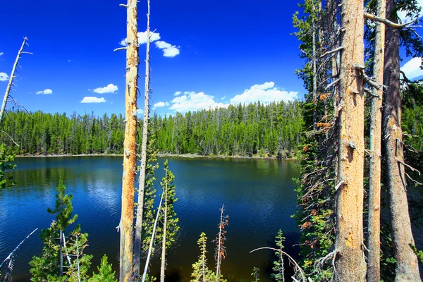 Yellowstone toppereend Lake landschap — Stockfoto