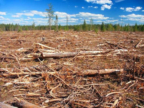 Michigan Logging Industry — Stock Photo, Image