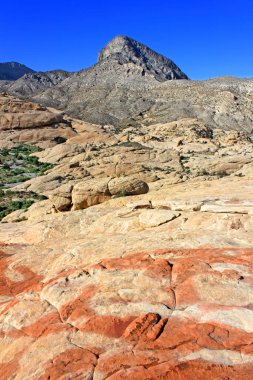 Red Rock Kanyonu Las Vegas