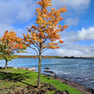 Michigan 'daki Baraga Belediye Limanı' ndan L 'anse Lake Superior' un manzarası