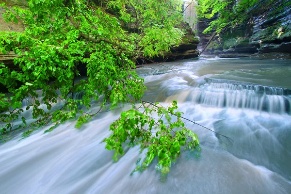 MATTHIESSEN park stanowy illinois wodospad — Zdjęcie stockowe