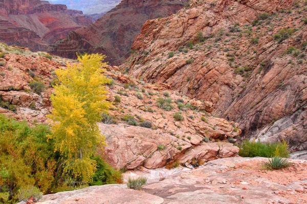 Grand Canyon Autumn Scenery — Stock Photo, Image