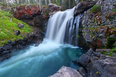 Moose falls yellowstone Milli Parkı