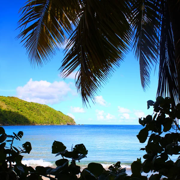 British Virgin Islands Beach Silhouette — Stock Photo, Image