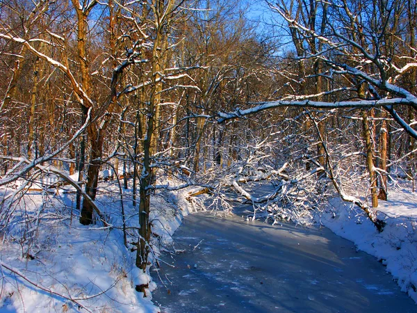 Allerton Park Winter Scenery — Stock Photo, Image