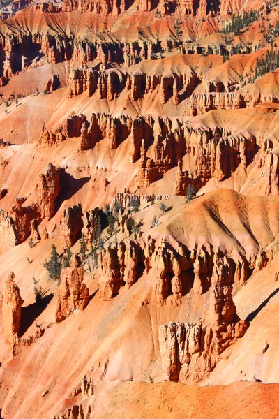 Cèdre brise formations rocheuses Utah — Photo