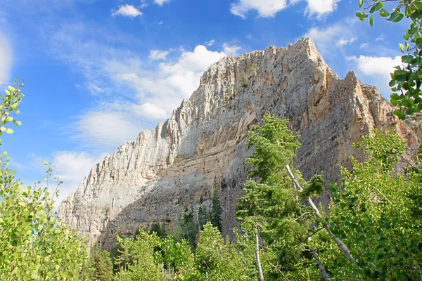 エコーの断崖風景ネバダ州 — ストック写真