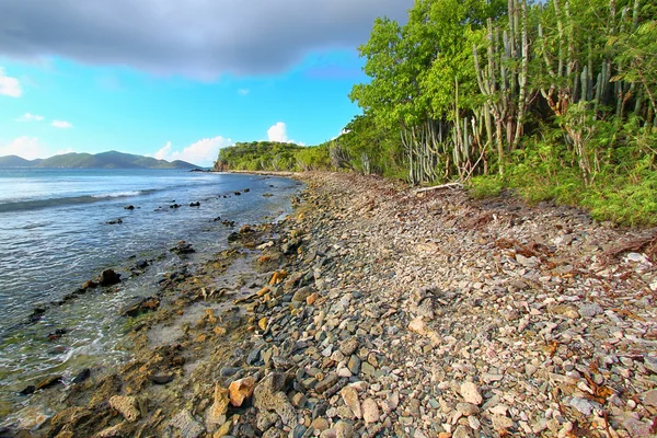 Тортола Карибских островов — стоковое фото