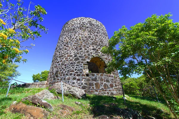 Monte Parque Nacional Saudável Caribe — Fotografia de Stock