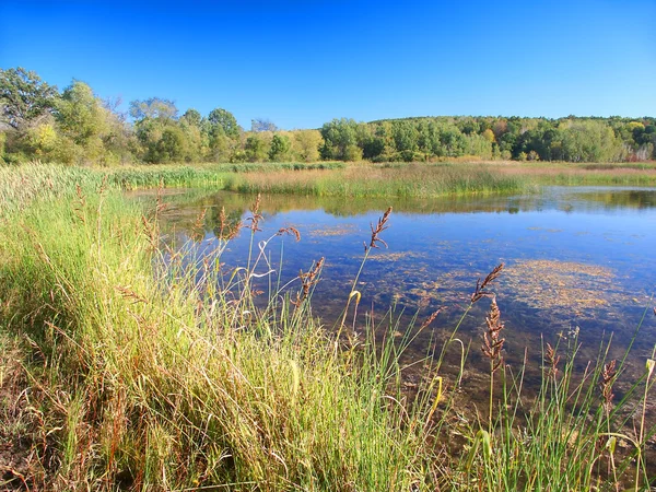 Wisconsin vízforraló Moraine állami erdő — Stock Fotó