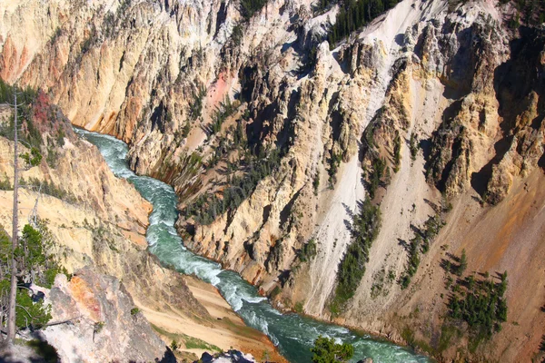 Grand Canyon of the Yellowstone River — Stock Photo, Image