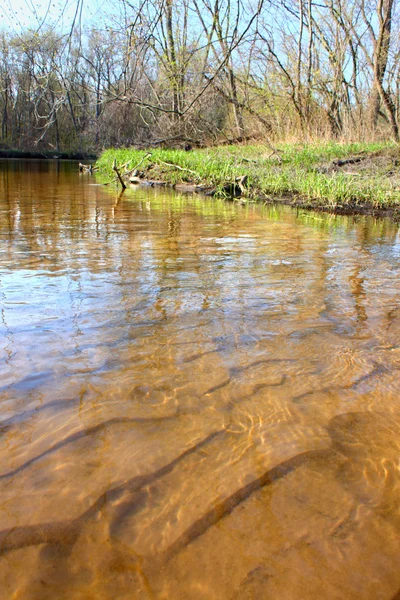 Sugar River Paisagem Illinois — Fotografia de Stock