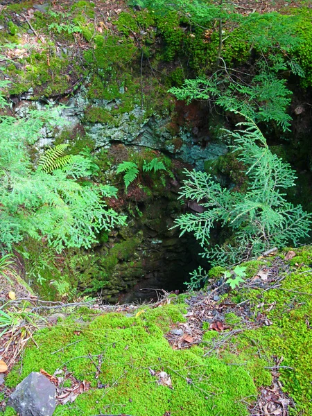 Eixo de mina abandonado Michigan — Fotografia de Stock