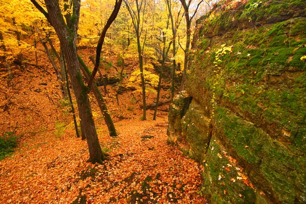 Mooie herfst landschap van illinois — Stockfoto