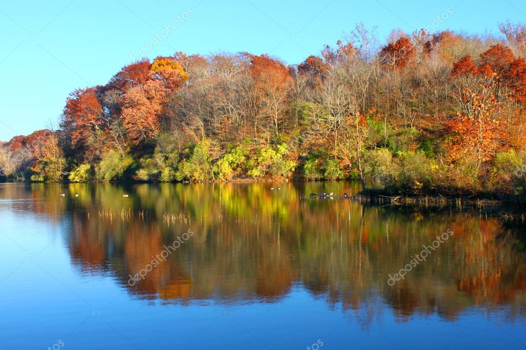 Vermilion On The Lake