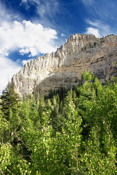 Spring Mountains Landscape Nevada — Stock Photo, Image