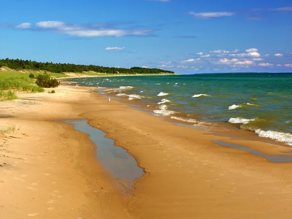 Lago Michigan Beach Paisaje —  Fotos de Stock