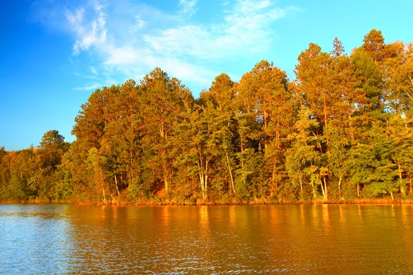 Northwoods podzimní krajina Wisconsin — Stock fotografie