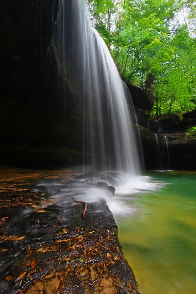 Paisaje de la cascada del bosque de Alabama — Foto de Stock