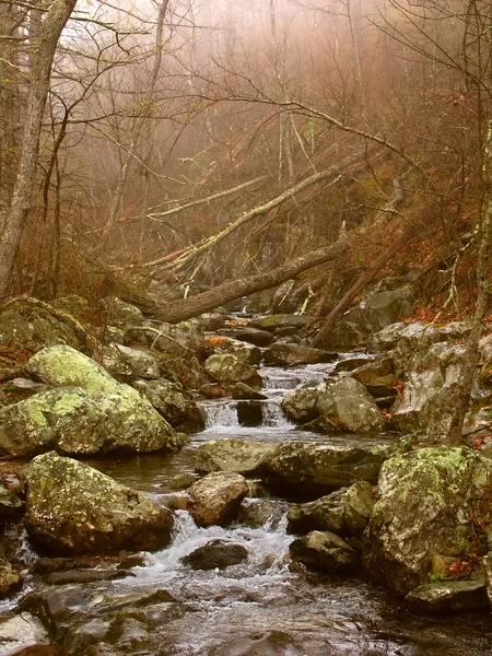 Parque Nacional Shenandoah Virginia — Fotografia de Stock