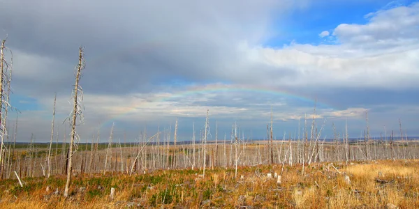 Montana herbstliche Landschaft — Stockfoto