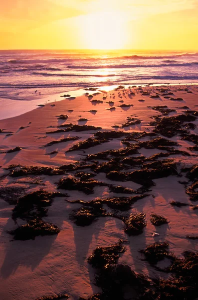 Sunset Waves Victoria Australia — Stock Photo, Image