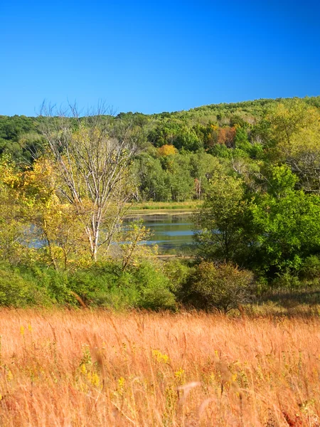 Su ısıtıcısı buzultaş devlet orman Wisconsin — Stok fotoğraf