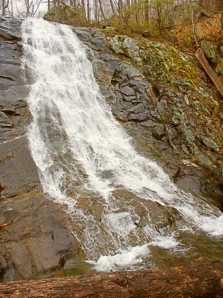 Lower Whiteoak Falls Virginia — Stock Photo, Image