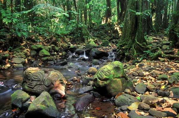 Французская Полинезия Rainforest Rock Carvings — стоковое фото