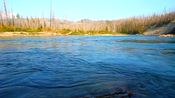 Nordgabelung Flachkopf Fluss Montana — Stockvideo